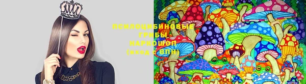 спиды Вязники