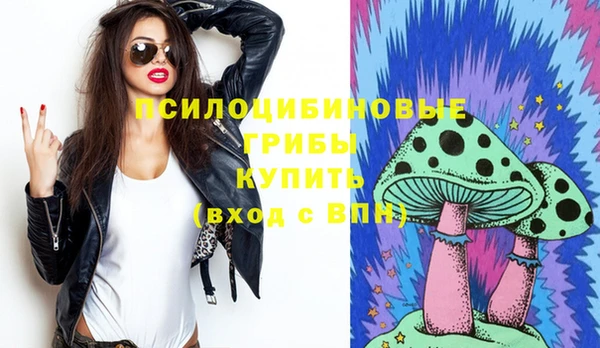 мдпв Вязьма