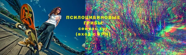 мдпв Вязьма