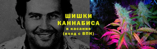 мдпв Вязьма