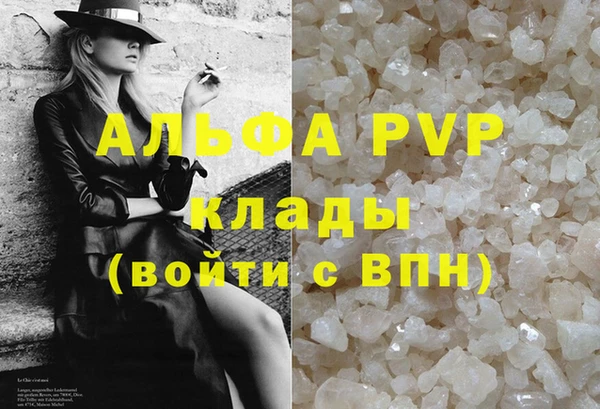 PSILOCYBIN Вяземский