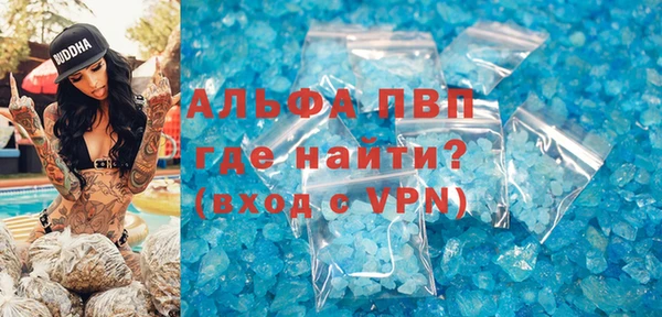 PSILOCYBIN Вяземский