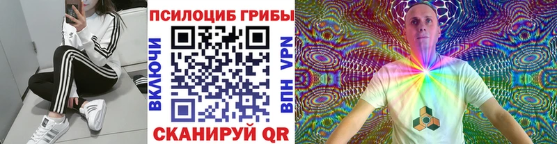 Псилоцибиновые грибы Magic Shrooms  наркотики  Кулебаки 